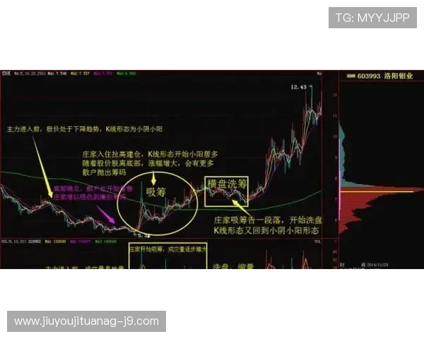 抢庄牛牛如何快速赢取大量筹码实用策略与技巧全攻略