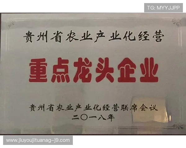 九游会官方视讯积极响应行业规范，推动健康游戏文化建设，营造良好的娱乐生态环境