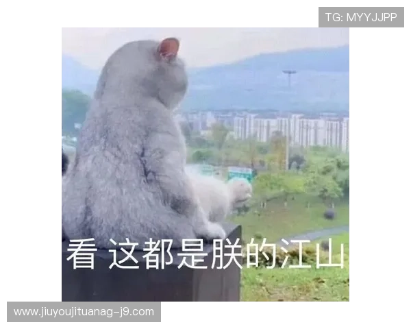 九游app下载朕的江山让你在手机上感受皇权争霸的激烈战斗场面