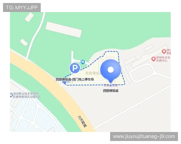 世界杯期间科特迪瓦厄瓜多尔比赛交通指南：公共交通、打车及自驾出行全解析